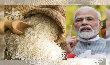 বিশ্বগুরুর বড় পদক্ষেপ! বিমানে যাবে বাসমতী, জাহাজে গম—ভারতের শস্য রফতানিতে নয়া মোড় বিশ্বগুরুর বড় পদক্ষেপ! বিমানে যাবে বাসমতী, জাহাজে গম—ভারতের শস্য রফতানিতে নয়া মোড়