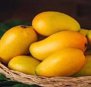 নববর্ষের ভোজে বাজিমাত করবে আমের এই ‘শাহি’ রেসিপি! তৈরির উপায় জানলে মিষ্টির দোকান ভুলবেন