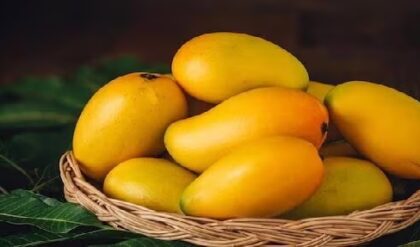 নববর্ষের ভোজে বাজিমাত করবে আমের এই ‘শাহি’ রেসিপি! তৈরির উপায় জানলে মিষ্টির দোকান ভুলবেন নববর্ষের ভোজে বাজিমাত করবে আমের এই ‘শাহি’ রেসিপি! তৈরির উপায় জানলে মিষ্টির দোকান ভুলবেন