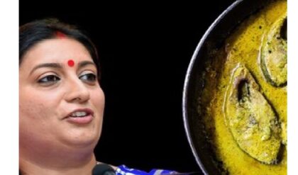 বিজেপি এলে মাছ বন্ধ? তৃণমূলের মাস্টারেস্ট্রোকের মুখে পাল্টা ‘মাস্টার ব্লাস্ট’ স্মৃতি ইরানির!