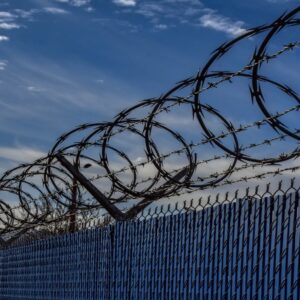 ভারত-বাংলাদেশ সীমান্ত পাহারা নিয়ে গড়িমসি? রাজ্যের রিপোর্ট দেখে ‘অগ্নিশর্মা’ প্রধান বিচারপতি, বড় শাস্তি যুগ্ম-অধিকর্তাকে