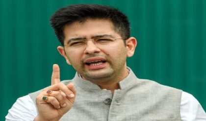 কেজরিওয়ালের ডেরায় বিরাট সার্জিক্যাল স্ট্রাইক! হরভজন সিং থেকে স্বাতী মালিওয়াল—বিজেপিতে যোগ দিচ্ছেন কারা?