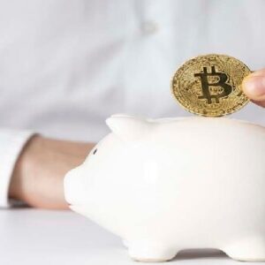 রিটায়ারমেন্টের টাকা কোথায় রাখবেন? FD নাকি SCSS— কোন স্কিমে পকেটে আসবে বেশি লাভ?