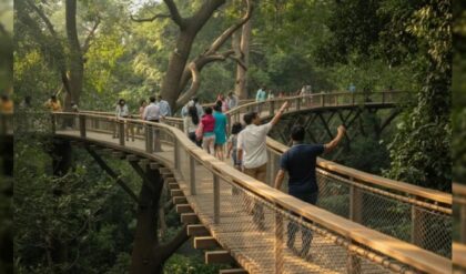 হাতের নাগালে বাঘ-সিংহ! মাটির মায়া ছেড়ে এবার গাছের ওপর দিয়ে হাঁটুন, পড়শি রাজ্যে শুরু হচ্ছে রোমাঞ্চকর অ্যাডভেঞ্চার।