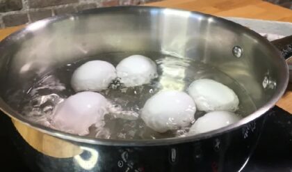 ডিমের খোসা ছাড়াতে নাজেহাল? সেদ্ধ করার সময় এই একটি জিনিস দিলেই কেল্লাফতে!