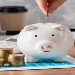 মাসে মাত্র ২২ হাজার টাকা বেতন? এই কৌশলে আপনিও হতে পারেন ৪ থেকে ৮ কোটির মালিক!