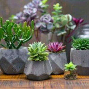 “পকেটে মাত্র ৫০০০ টাকা? সিমেন্ট দিয়ে ঘর বসেই করুন বাজিমাত! মাসে আয় হবে হাজার হাজার”