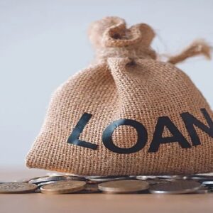 হঠাৎ ব্রেক! সাধারণ মানুষের ঋণে অনীহা নাকি কড়াকড়ি? ব্যাংক লোনের পরিসংখ্যানে দুশ্চিন্তার ভাঁজ!