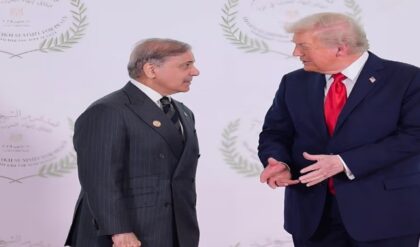 যুদ্ধের আবহে মাস্টারস্ট্রোক! ইরান ও পশ্চিমাদের মাঝে কেন হঠাৎ জরুরি হয়ে উঠল পাকিস্তান?