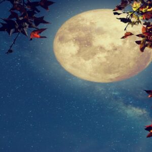 আজ না কি কাল? ২০২৬ সালের চৈত্র পূর্ণিমার সঠিক সময় ও নির্ঘণ্ট নিয়ে বিভ্রান্তি কাটান এখনই!