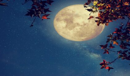 আজ না কি কাল? ২০২৬ সালের চৈত্র পূর্ণিমার সঠিক সময় ও নির্ঘণ্ট নিয়ে বিভ্রান্তি কাটান এখনই!