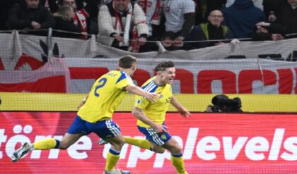 একটিও ম্যাচ না জিতেই বিশ্বকাপের মূলপর্বে সুইডেন! অবিশ্বাস্য নিয়মে কপাল খুলল জ্লাতানদের দেশের