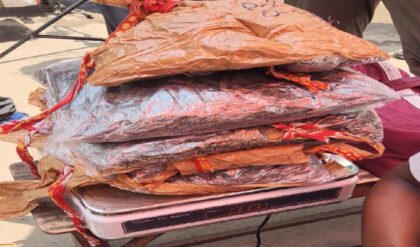 ভোটের আগেই কলকাতায় গাঁজার পাহাড়! ২ দিনে ৪০ কেজি উদ্ধার, নেপথ্যে কোন বড় মাথা? ভোটের আগেই কলকাতায় গাঁজার পাহাড়! ২ দিনে ৪০ কেজি উদ্ধার, নেপথ্যে কোন বড় মাথা?