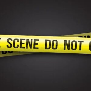 কলকাতায় পাচারের আগেই স্বপ্নভঙ্গ! STF-এর অভিযানে জালে ২ পাচারকারী, উদ্ধার ১৮ কেজি গাঁজা