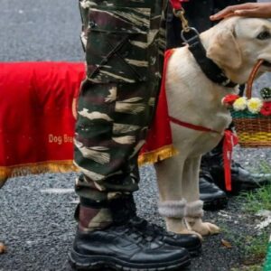 ভারতীয় সেনাবাহিনীতে চাকরির সুবর্ণ সুযোগ! ভেটেরিনারি পাশ করলেই মিলবে অফিসার হওয়ার সুযোগ! ২. দেশের সেবায় যোগ দিন! ভারতীয় সেনার RVC-তে নিয়োগের বিজ্ঞপ্তি প্রকাশ, জানুন আবেদনের শেষ