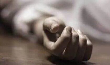 এআই কেড়ে নিল স্বপ্ন! কর্মহীন সফটওয়্যার ইঞ্জিনিয়ারের আত্মহত্যার পর ১৭ তলা থেকে ঝাঁপ স্ত্রীর