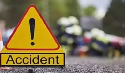 “ভ্রমণই হলো শেষ সফর! তামিলনাড়ুতে ভয়াবহ খাদে পর্যটকদের গাড়ি, পিষে মৃত্যু ৮ জনের”