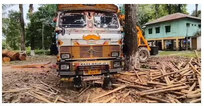 ফিল্মি স্টাইলে বাঁশের আড়ালে পাচার! বাগডোগরায় বন দফতরের মেগা অপারেশন, উদ্ধার কোটি টাকার সম্পদ!