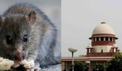 টাকা কি আসলেও ইঁদুরে খায়? বিহারের আমলার ১০ হাজার টাকার ঘুষ নিয়ে সুপ্রিম কোর্টে তুলকালাম!