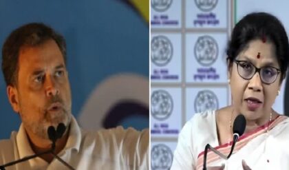 রাহুলকে কড়া পালটা তৃণমূলের! ‘আগে নিজের ঘর সামলান’, দিল্লিতে বসে মমতার হয়ে ব্যাটিং ডেরেকদের