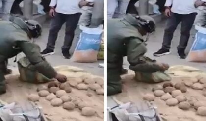 নির্বাচনের মুখে বারুদের স্তূপে ভাঙড়! তৃণমূল কর্মীর ঘরে বোমা উদ্ধার ঘিরে রণক্ষেত্র দক্ষিণ ২৪ পরগনা