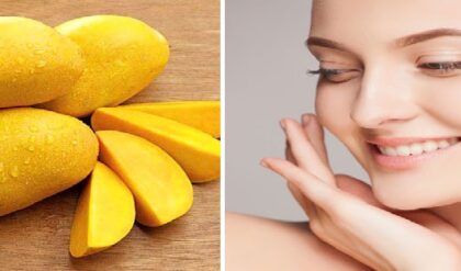 গরমে ত্বকের হারানো উজ্জ্বলতা ফেরাবে আম-মধুর যুগলবন্দি! ঘরোয়া পদ্ধতিতে জেল্লা বাড়ান ঝটপট!
