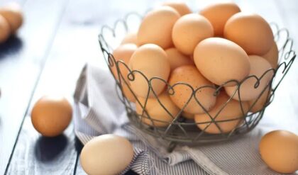 গরমে দ্রুত পচে ডিম? মাত্র ২ মিনিটের এই ‘ম্যাজিক’ পরীক্ষায় চিনে নিন ভালো ডিম্