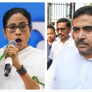 “একটা বিড়ি পেলে তিনবার টানতিস…” শুভেন্দুর ‘আয়’ নিয়ে বিস্ফোরক দাবি মমতার