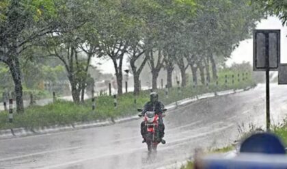 গাছ পড়ে মর্মান্তিক মৃত্যু! দক্ষিণবঙ্গে বৃষ্টির দাপটে আরও বিপদের পূর্বাভাস, কালবৈশাখী কি থামবে না?