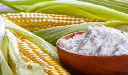 রান্নাঘরের সাদা এই গুঁড়োর ম্যাজিক! ১ চুটকি কর্নফ্লাওয়ার দিলেই বেঁচে যাবে হাজার হাজার টাকা!