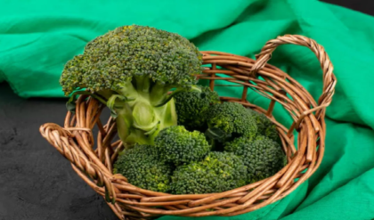 পেটের মেদ নিয়ে চিন্তিত? ডায়েটে রাখুন ব্রোকোলি, কয়েক দিনেই ম্যাজিকের মতো কমবে ওজন!