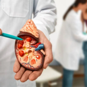 কিডনি বিকল হওয়ার ভয়ে ঘুম নেই? ডায়েটে রাখুন এই ফল ও সবজি—শরীর থেকে টক্সিন বের হবে ম্যাজিকের মতো!