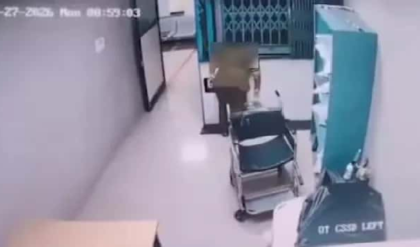 ভয়ঙ্কর মৃত্যুফাঁদ! লিফটের নিচে মাথা ঢুকে পিষে গেলেন মহিলা কর্মী, হাড়হিম করা ভিডিও ভাইরাল