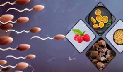 বাবা হতে চাইছেন? স্পার্ম কাউন্ট রাতারাতি বাড়াতে পাতে রাখুন এই ম্যাজিক খাবারগুলো!