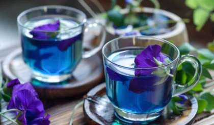 নীল চায়ের জাদুকরী গুণ! এক কাপ ‘অপরাজিতা’ বদলে দেবে আপনার জীবন?