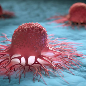 নিরামিষ খেলেই কি ক্যানসার থেকে মুক্তি? গবেষণার চমকপ্রদ তথ্য! নিরামিষ খেলেই কি ক্যানসার থেকে মুক্তি? গবেষণার চমকপ্রদ তথ্য!