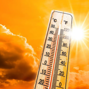 কালবৈশাখী শেষ! চড়চড়িয়ে বাড়বে তাপমাত্রা, ফিরছে হাঁসফাঁস গরম ও অস্বস্তি কালবৈশাখী শেষ! চড়চড়িয়ে বাড়বে তাপমাত্রা, ফিরছে হাঁসফাঁস গরম ও অস্বস্তি