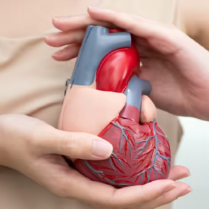 আধুনিক জীবনযাত্রাই কি হার্ট অ্যাটাকের মূল কারণ? নিজেকে বাঁচাতে বদলে ফেলুন এই ৫ অভ্যাস