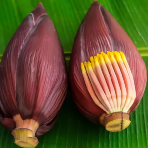 কলার মোচা কি স্রেফ শখের খাবার? এর ওষধি গুণ জানলে কালই বাজারে ছুটবেন!