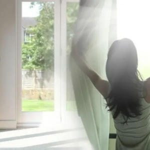 এসি ছাড়াই ঘর হবে শিমলা! এই ৫টি জাদুকরী উপায়ে কাঠফাটা গরমেও বাড়িকে রাখুন হিমশীতল