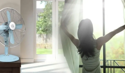 এসি ছাড়াই ঘর হবে শিমলা! এই ৫টি জাদুকরী উপায়ে কাঠফাটা গরমেও বাড়িকে রাখুন হিমশীতল এসি ছাড়াই ঘর হবে শিমলা! এই ৫টি জাদুকরী উপায়ে কাঠফাটা গরমেও বাড়িকে রাখুন হিমশীতল