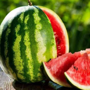 লাল ও মিষ্টি তরমুজ চেনার ৫টি জাদুকরী টিপস; ঠকার ভয় নেই আর এক বিন্দুও! লাল ও মিষ্টি তরমুজ চেনার ৫টি জাদুকরী টিপস; ঠকার ভয় নেই আর এক বিন্দুও!