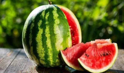 লাল ও মিষ্টি তরমুজ চেনার ৫টি জাদুকরী টিপস; ঠকার ভয় নেই আর এক বিন্দুও!