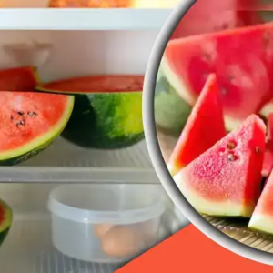 তরমুজ কিনে ঠকছেন না তো? সতেজ ও রসালো ফল চেনার এই ৪টি টিপস আপনার টাকা বাঁচাবে তরমুজ কিনে ঠকছেন না তো? সতেজ ও রসালো ফল চেনার এই ৪টি টিপস আপনার টাকা বাঁচাবে