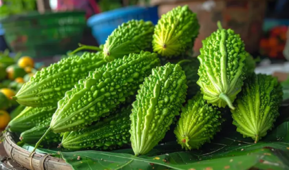 তেতো বলে করলা এড়িয়ে চলছেন? এর ম্যাজিকাল গুণগুলো জানলে আজই থালায় তুলে নেবেন! তেতো বলে করলা এড়িয়ে চলছেন? এর ম্যাজিকাল গুণগুলো জানলে আজই থালায় তুলে নেবেন!