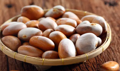 কাঁঠাল খেয়ে বীজ ফেলে দিচ্ছেন? এর অবিশ্বাস্য গুণগুলো জানলে আজই কুড়িয়ে রাখবেন!