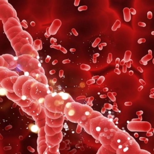 দেশে ২ কোটির বেশি থ্যালাসেমিয়া বাহক! আপনার অজান্তেই কি সন্তান বড় বিপদে পড়ছে?