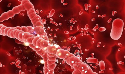 দেশে ২ কোটির বেশি থ্যালাসেমিয়া বাহক! আপনার অজান্তেই কি সন্তান বড় বিপদে পড়ছে?