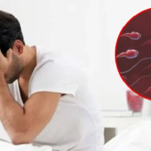 বন্ধ্যাত্বের পথে পা বাড়াচ্ছেন না তো? শুক্রাণুর ক্ষমতা বাড়াতে আজই ত্যাগ করুন এই বদগুণগুলো