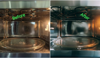 ঘণ্টার পর ঘণ্টা সময় নষ্ট নয়, মাইক্রোওয়েভ ঝকঝকে রাখার সবথেকে সহজ কৌশলটি শিখে নিন এখনই